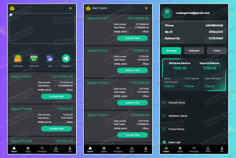 Daily Earn HYIP Investment PHP Script