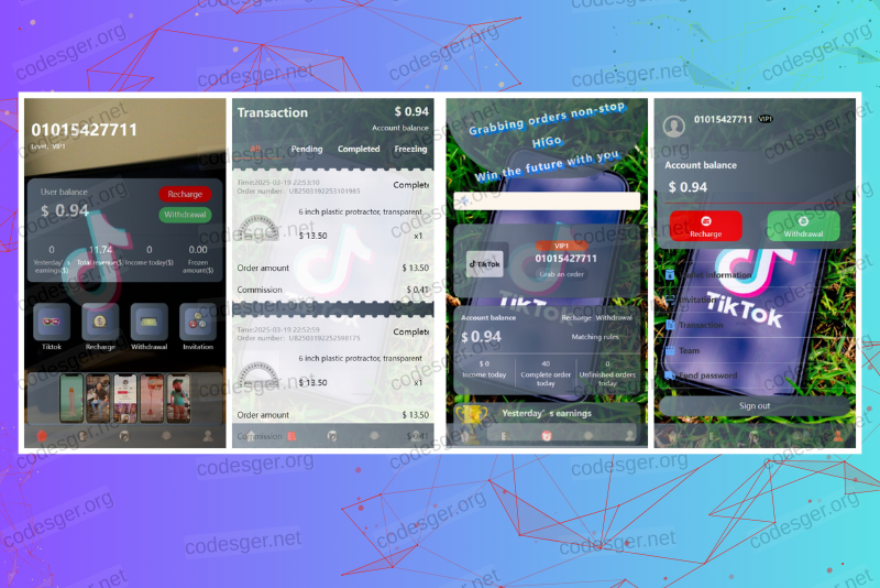 New version of overseas tiktok multi-language order grabbing system source code/with text construction tutorial
